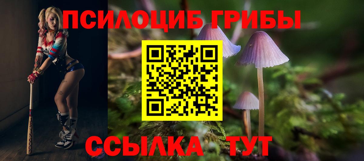Галлюциногенные грибы Psilocybe  Вход с VPN  Галлюциногенные грибы Cubensis  Вышний Волочёк 