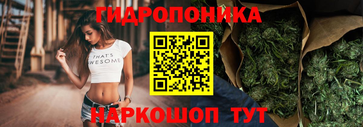 Марихуана Amnesia Вышний Волочёк